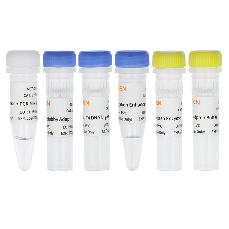 Hieff NGS™ dsDNA Methyl Library Prep Kit for Illumina™ _ 12214ES
