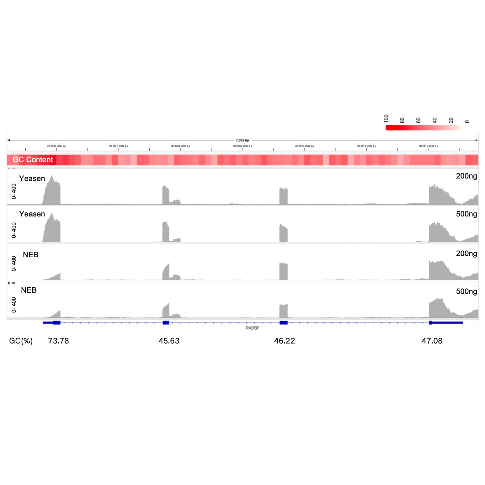 Kit de préparation de la bibliothèque ARN Hieff NGS ™ Evomax (spécifique au brin) -12340ES
