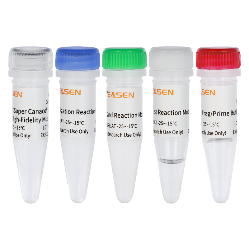 Hieff NGS ™ EVOMAX RNA Library Prep Kit (DNTP) (Premix og forseglingsversion) _ 12341ES