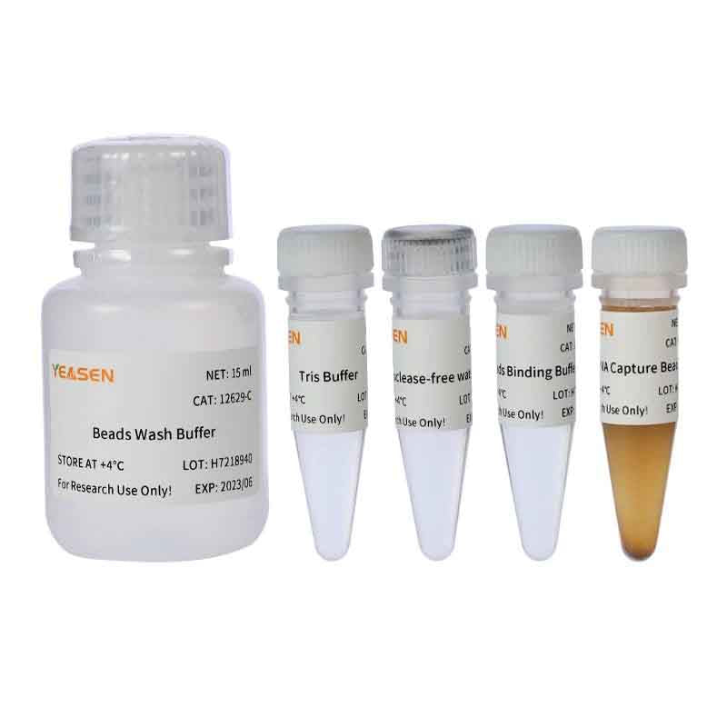 Hieff NGS ™ ARNA Isolation Master Kit V2 _ 12629ES