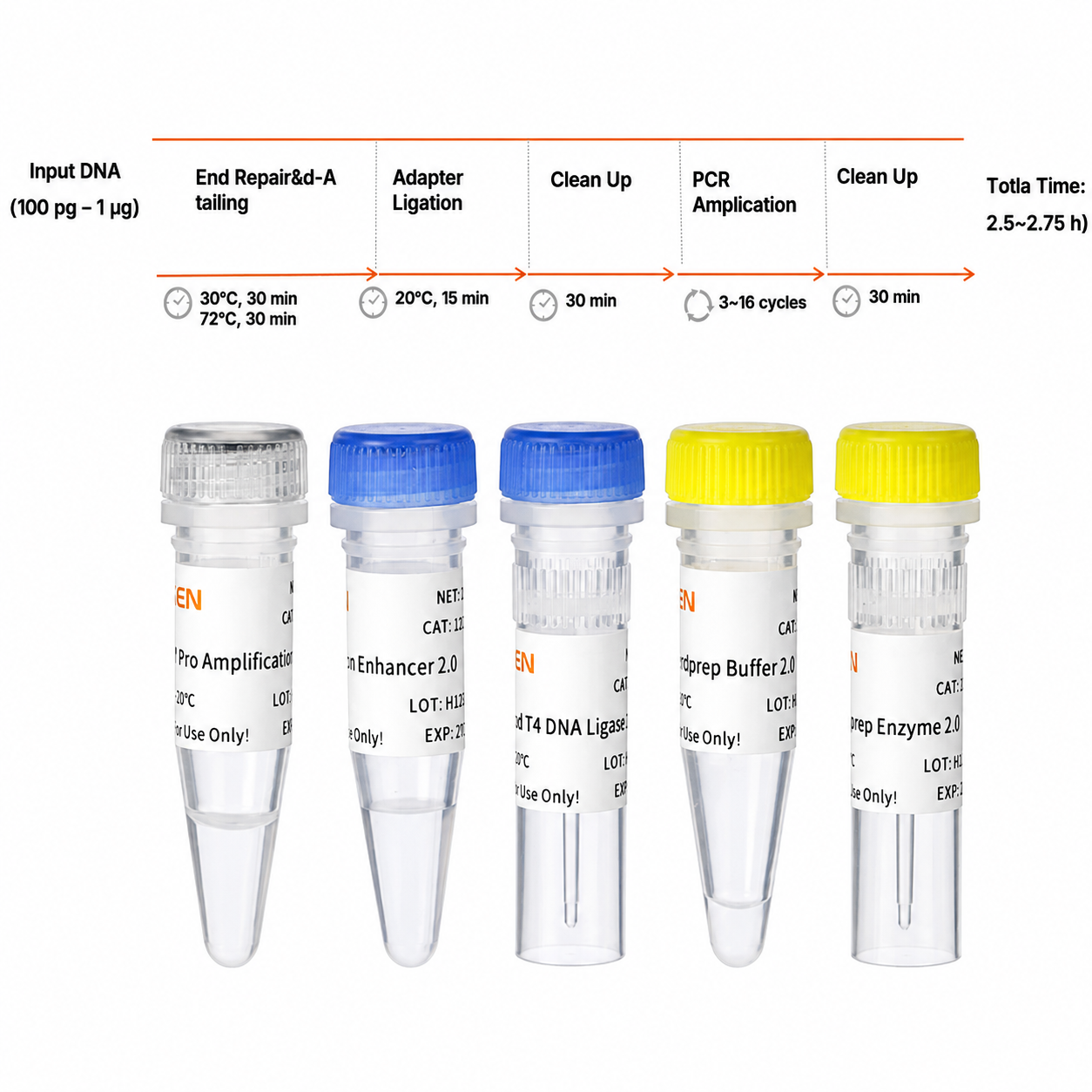 Kit di preparazione della libreria DNA Hieff NGS ™ 2.0 (meccanico) -12927es