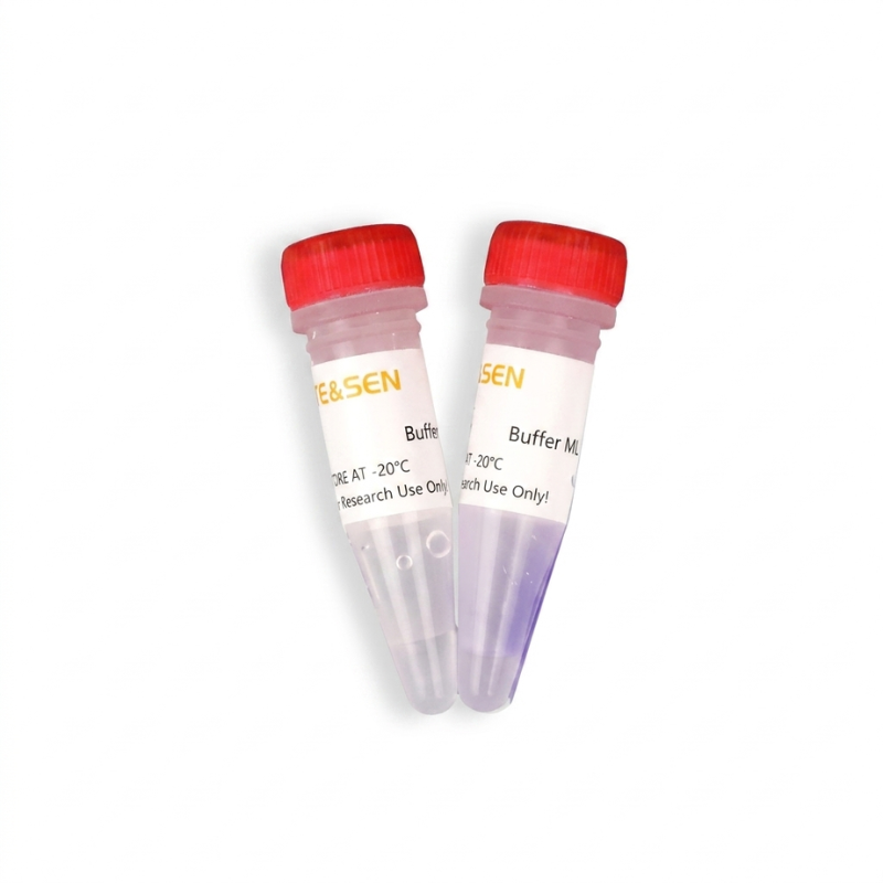 Mouse Tissue/ Cell Lysis Reagent _19697ES
