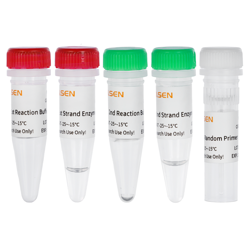 Hieff NGS™ ds-cDNA Synthesis Kit _ 13488ES