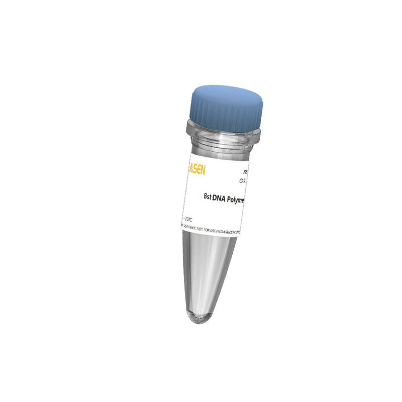 Hieff ™ Super BST ADN polymérase (2000 U / μl) _ 14410ES