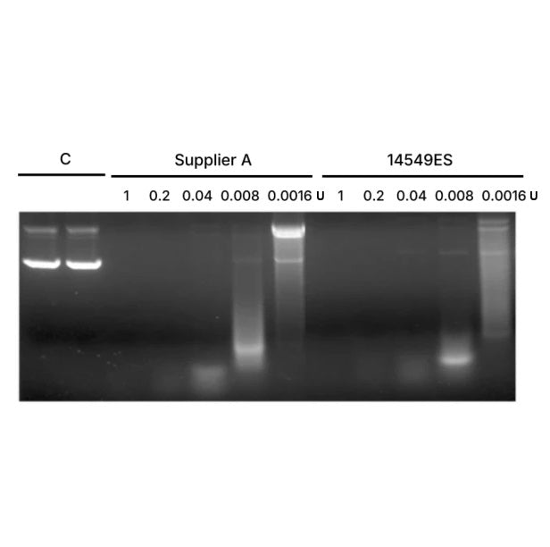 Recombinant DNase I (RNase-free, Yeast) (5 U/μL) _ 14549ES