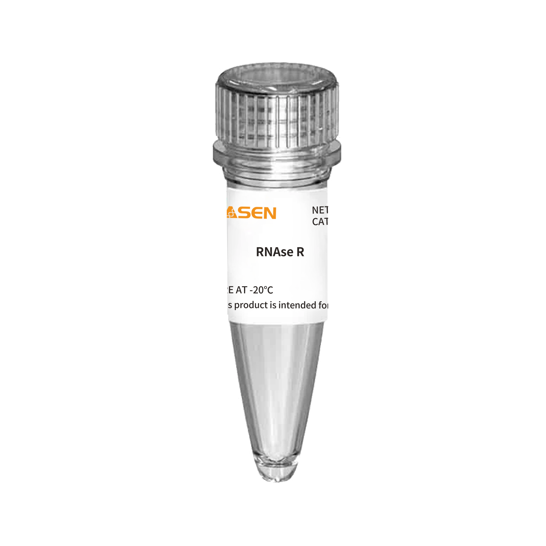 RNase R (20 U/μL) - 14606ES
