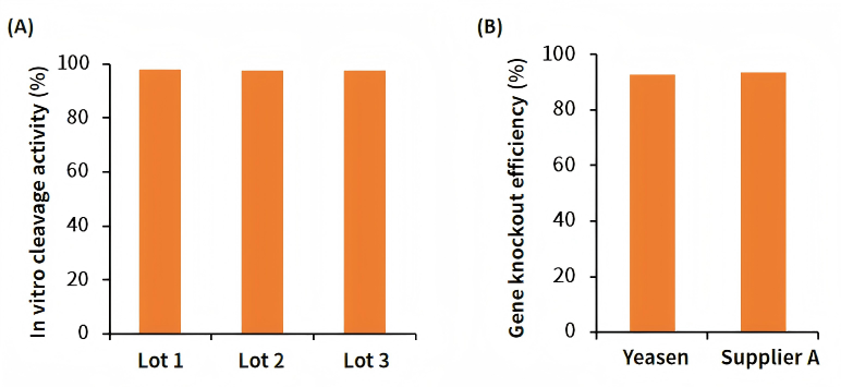 Nucléase Cas9 (10 mg / ml) _ 14701ES