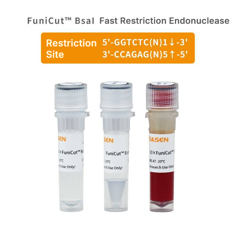 FuniCutâ„¢ BsaI _ 15005ES