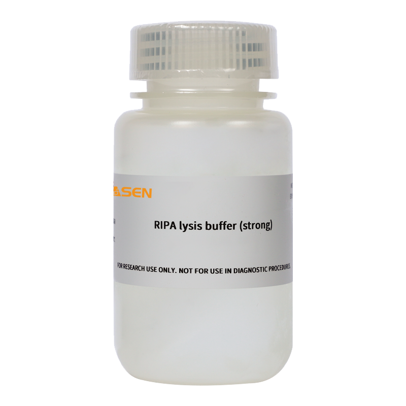 RIPA Lysis Buffer (Strong) _ 20101ES