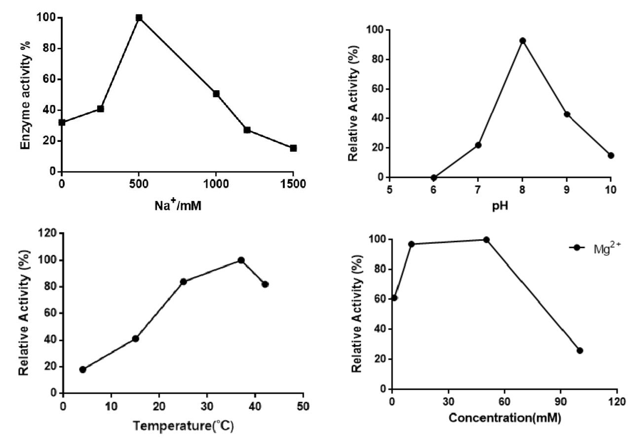 UCF.ME Salt Active Ultranuclease GMP-klasse (250 U/μL) _ 20159ES