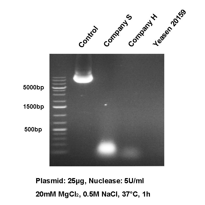 UCF.ME Salt Active Ultranuclease GMP-klasse (250 U/μL) _ 20159ES