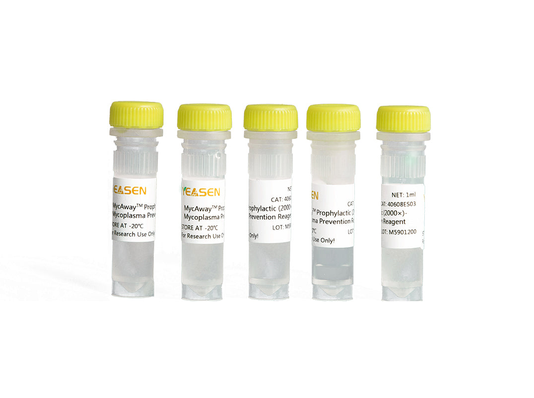 Mycaway ™ Profilattic (2000 ×) - Mycoplasma Prevention Reagent -40608es