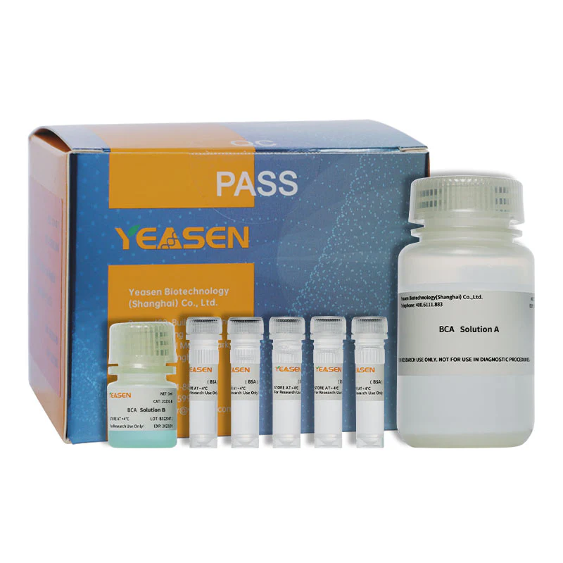 Kit de quantificação de proteínas BCA (pronto para uso) _ 20200es