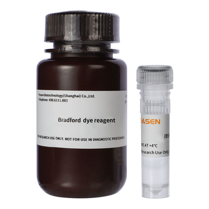 Kit de quantificação de proteínas de Bradford -20202es