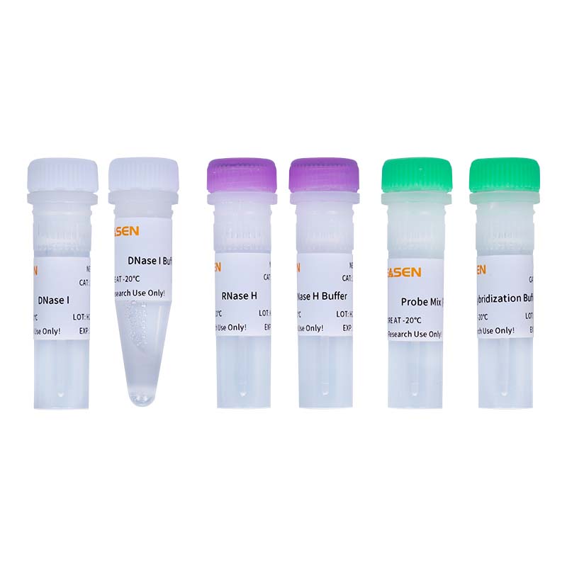 Hieff NGS ™ Maxup RRNA Appaution Kit (plante) -12254ES