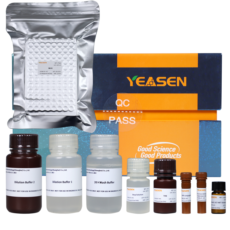 Salt Active Ultranucléase Kit ELISA -36703ES