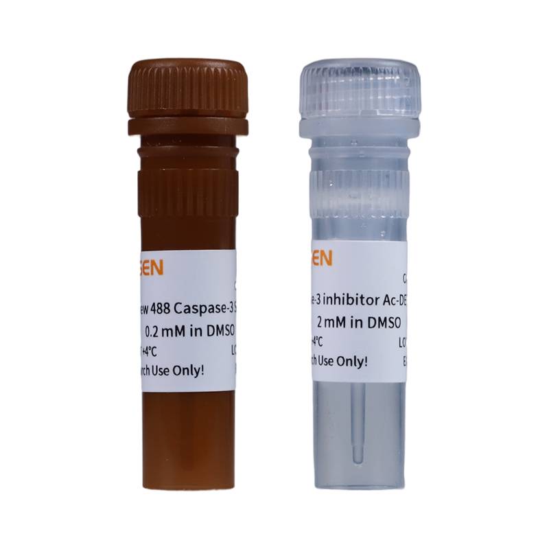 SuperView™ 488 Caspase-3 Assay Kit for Live Cells _ 40273ES