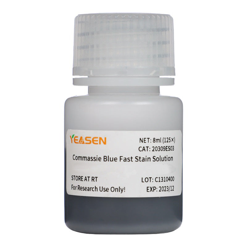 Solution Coomassie Blue Fast Stain (8 minutes) -20309E