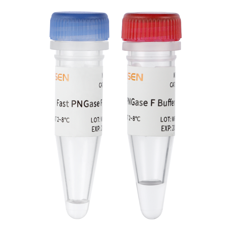 エルセーヌ　ノンセリュクイック Fast PNGase F, Glycerol-free