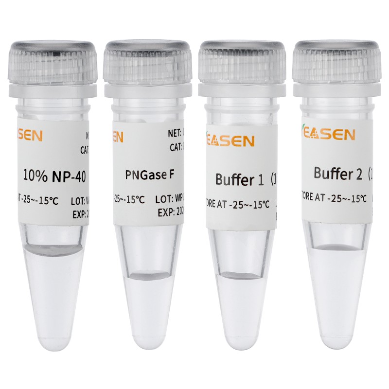 PNGase F (100U/μL) _ 20407ES