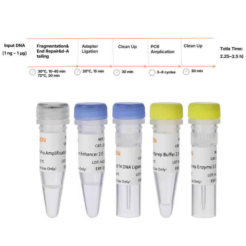 Hieff NGS ™ Onepot Pro DNA Library Prep Kit V4 (enzymatique) -12972ES