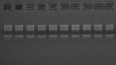 Malpure cel/weefsel Totaal RNA -kit -19221es