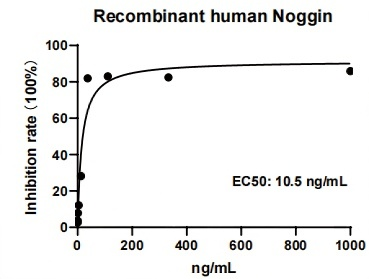 Recombinant Human Noggin Protein _ 92623ES