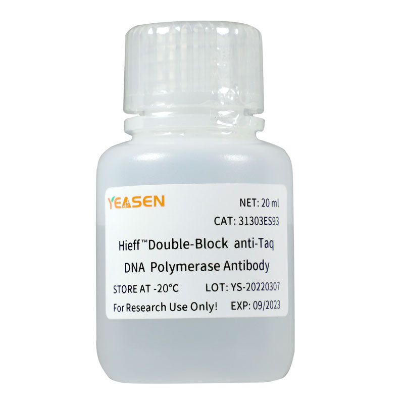 Hieff ™ çift blok anti-TAQ DNA polimeraz antikoru (20U/μL) -31303es