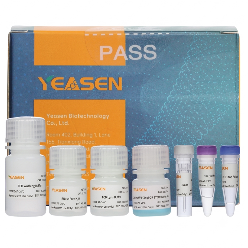 Hieff™ Fast Cell Direct SYBR Green RT-qPCR Kit _ 11172ES