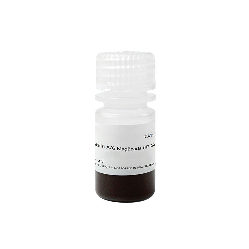 Protéine A / G MAGBEADS (grade IP) -36417ES