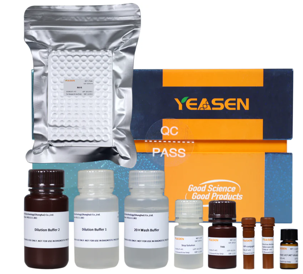 Salt Active UltraNuclease ELISA kit -36703ES