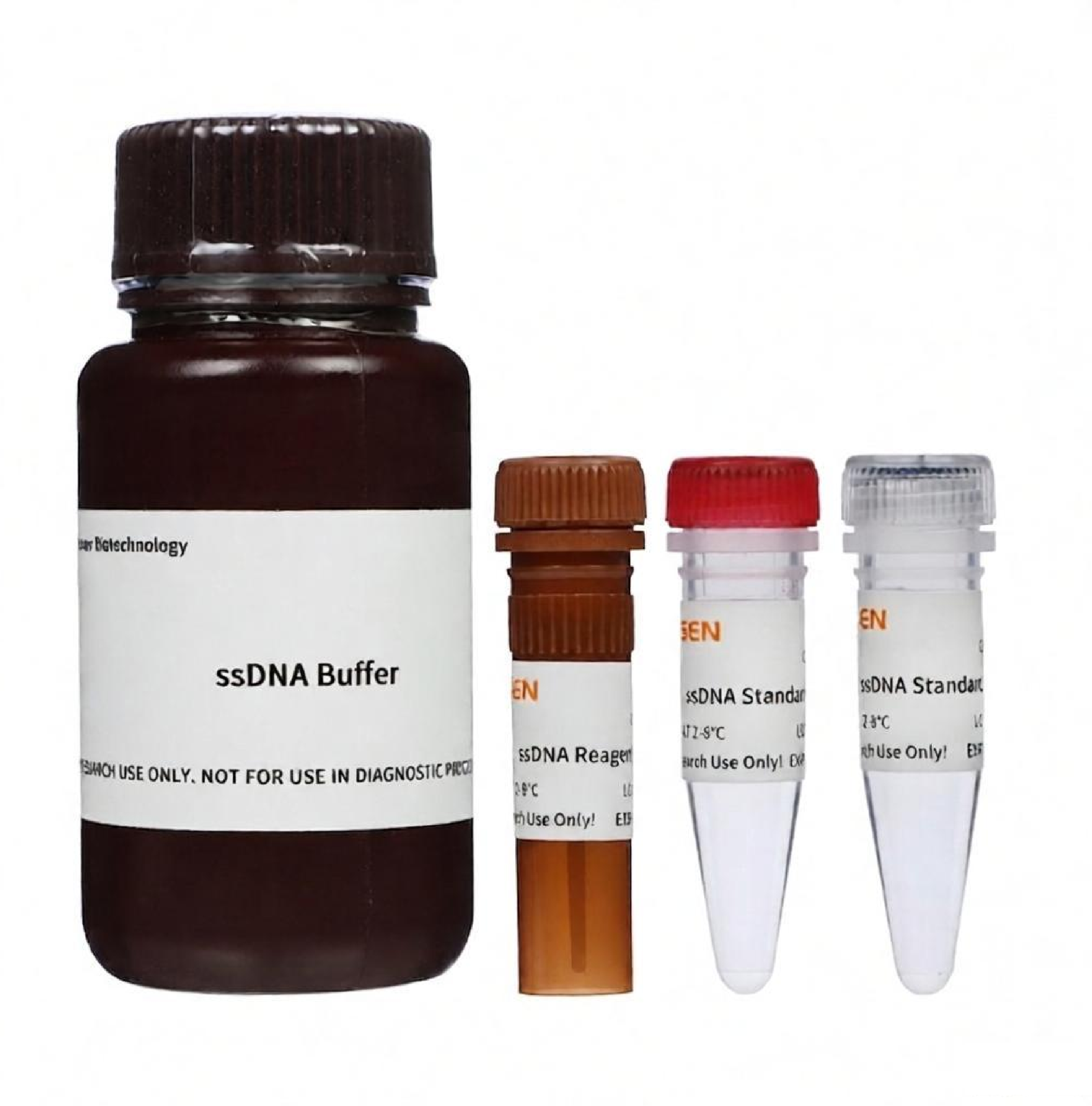 ssDNA Assay Kit _12645ES