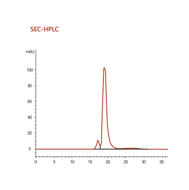組み換えヒトフィブロネクチン(全長)_40113ES