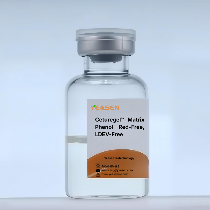 Ceturegel ™ Матрица фенола без красного, без LDEV -40184ES