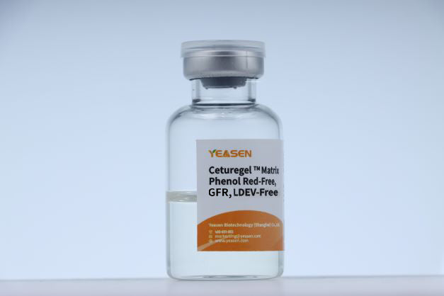 Ceturegel™ Matrix GFR, Phenol Red-Free, LDEV-Free _40186ES