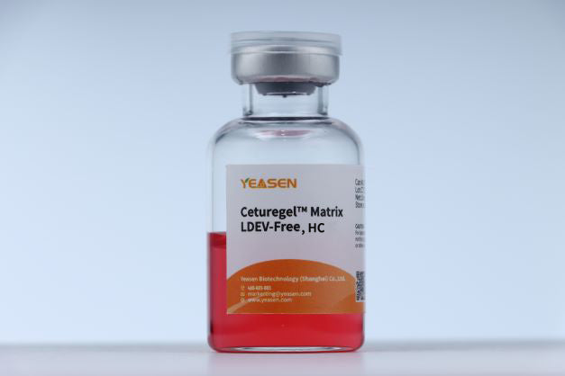 CETUREGEL ™ Matrix Haute concentration, sans LDEV -40187ES
