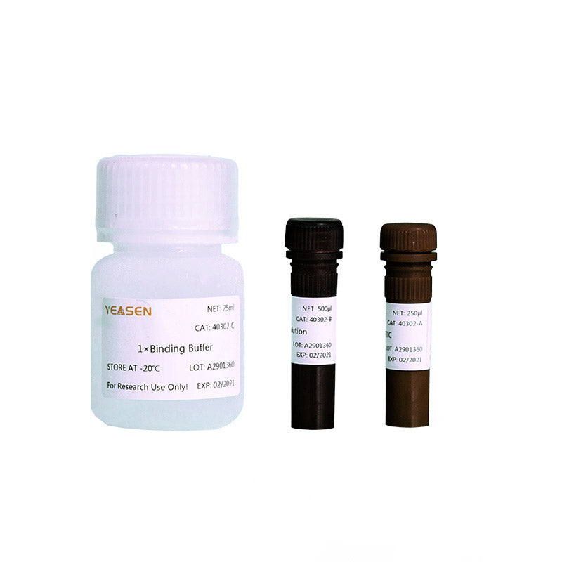 Annexine V-FITC / PI Kit de détection d'apoptose -40302ES