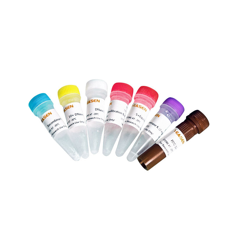 Kit de detecção de apoptose TUNEL (FITC) -40306es