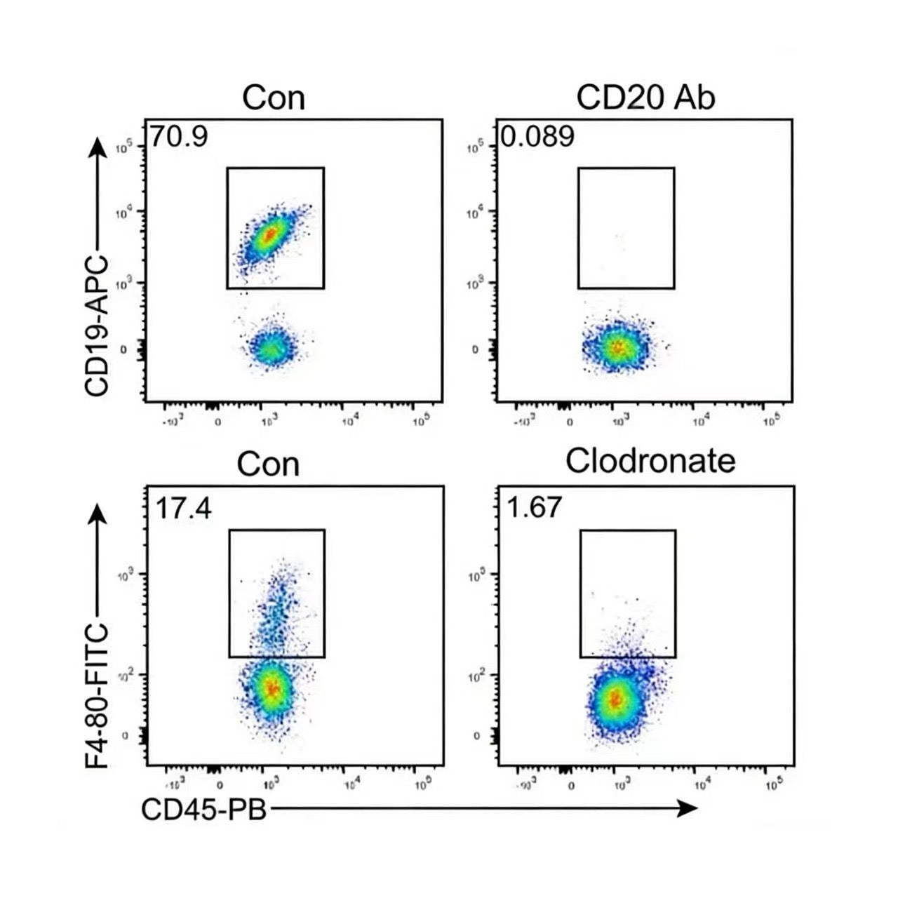 Clodronate Liposomes Kit (With Control Liposomes) _ 40339ES