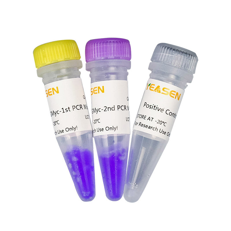 GMyc-PCR Mycoplasma Detection Kit (2G) _ 40614ES