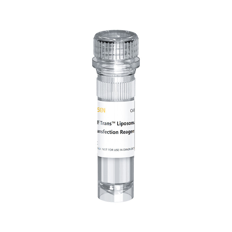 Hieff Trans™ Liposomal Transfection Reagent (Ver.2000) _ 40802ES
