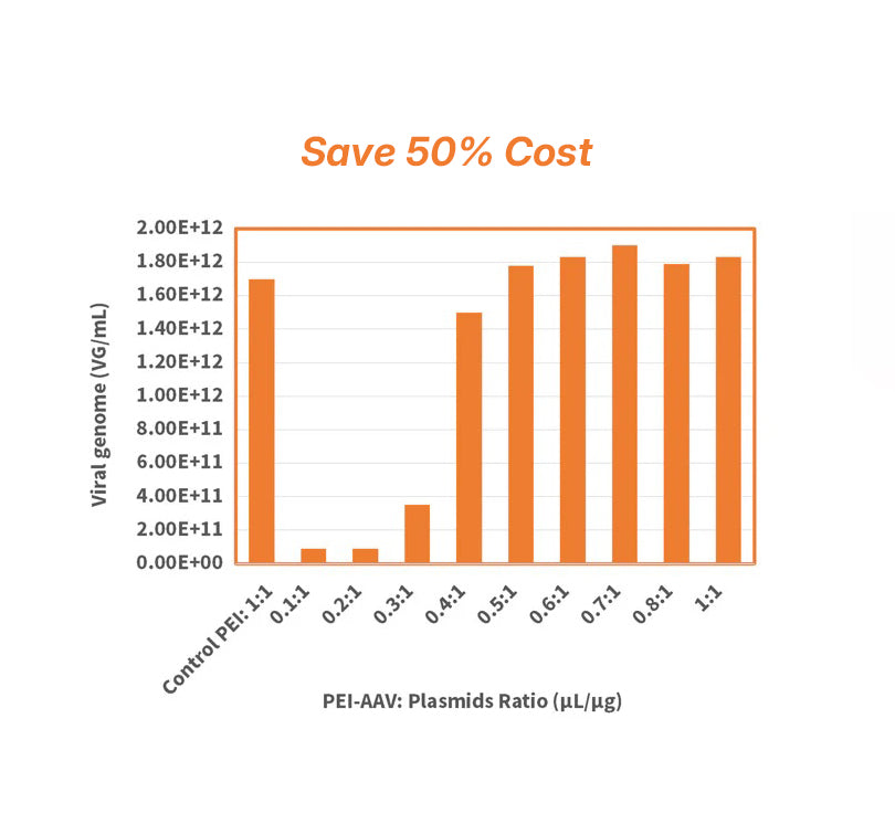 Réactif de transfection Hieff Trans ™ PEI AAV _ 40823ES