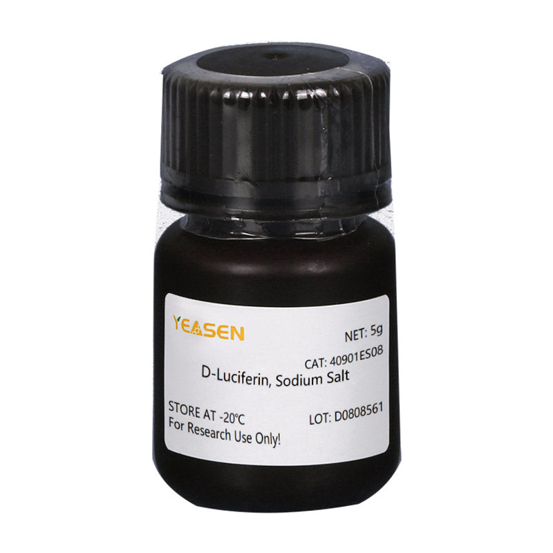 D-luciférine, sel de sodium d -40901es