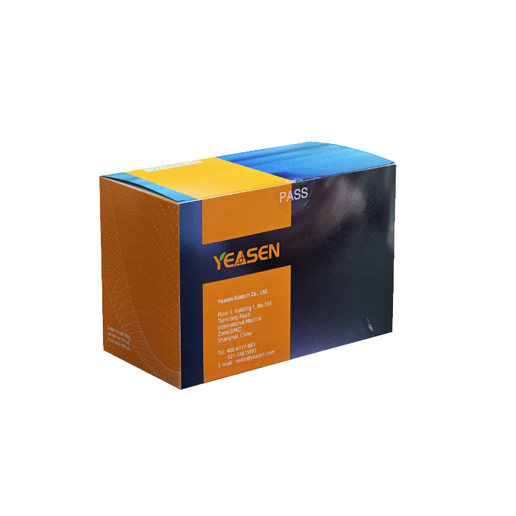 Annexine V-EGFP / PI Kit de détection d'apoptose -40303ES