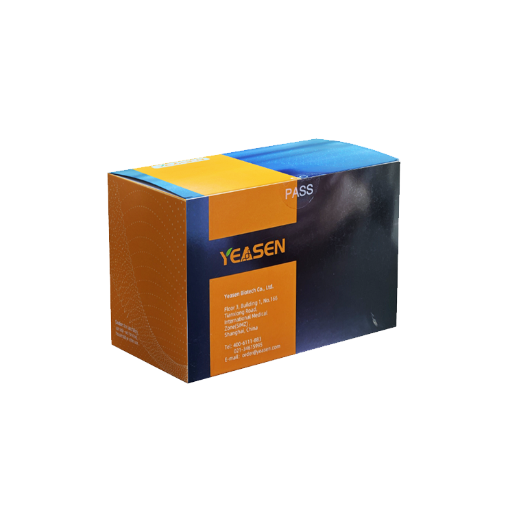 Annexin V-Alexa Fluor 488/PI Apoptosis Detection Kit