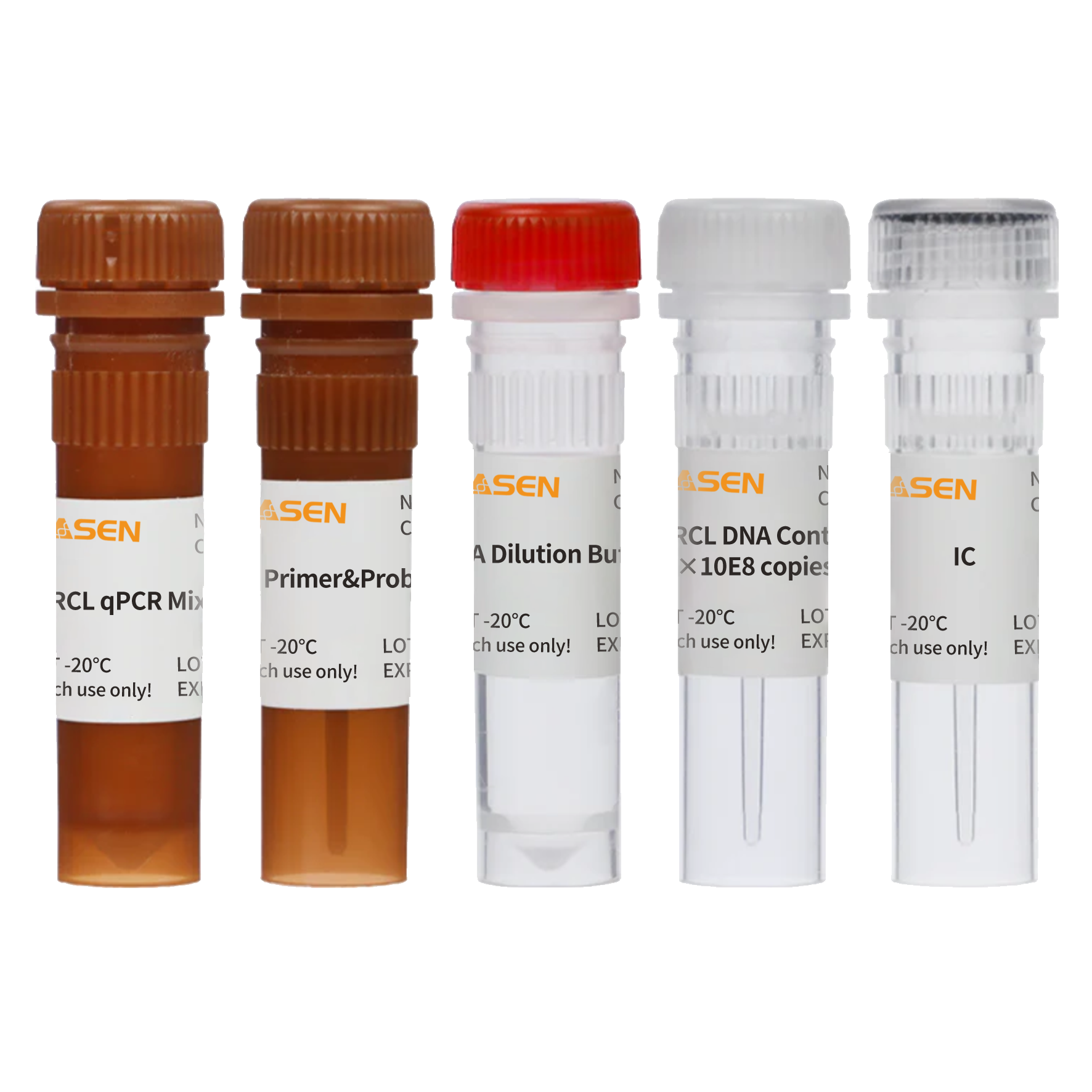 Kit di rilevamento Lentivirus (RCL) di replica-competente _41311es