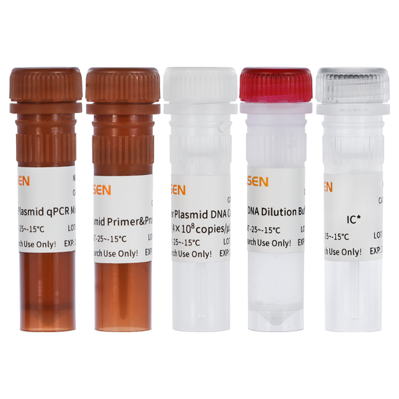 Plasmid DNA Residue Detection Kit _ 41323ES