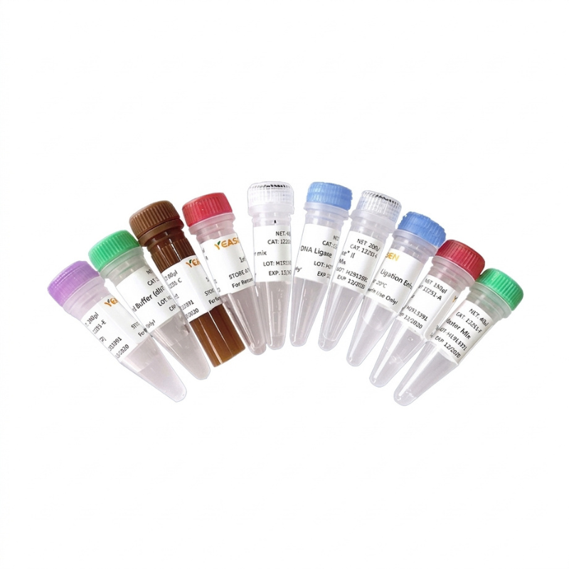 Hieff NGS ™ Ultima Dual -Mode RNA Library Prep Kit -12308es