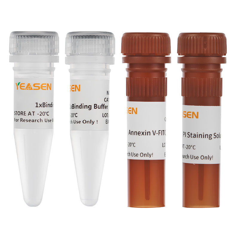 Annexin V-FITC/PI Apoptosis Detection Kit -40302ES