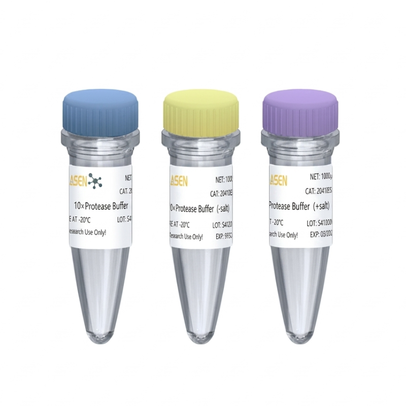 Sumo Protease (1 U/μl, E.Coli ile ifade edildi.) _ 20410es